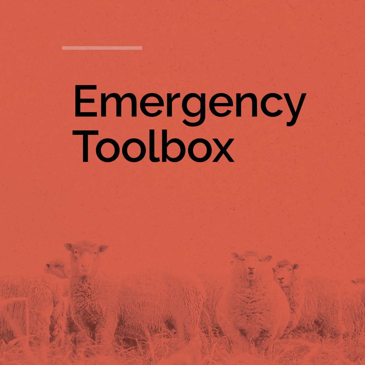 Emergency Toolbox