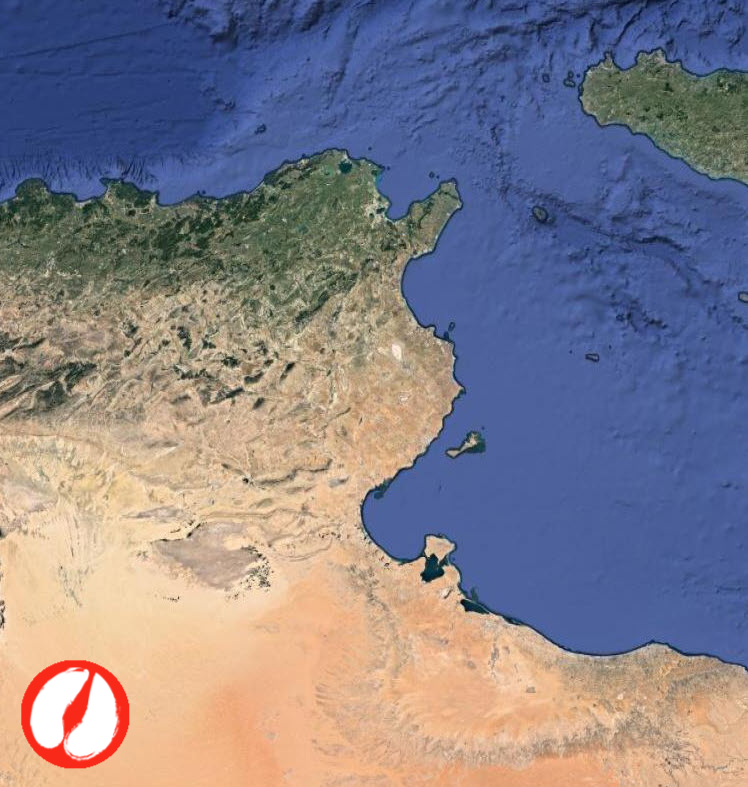 Formation en ligne d’investigation sur la fièvre aphteuse pour la Tunisie