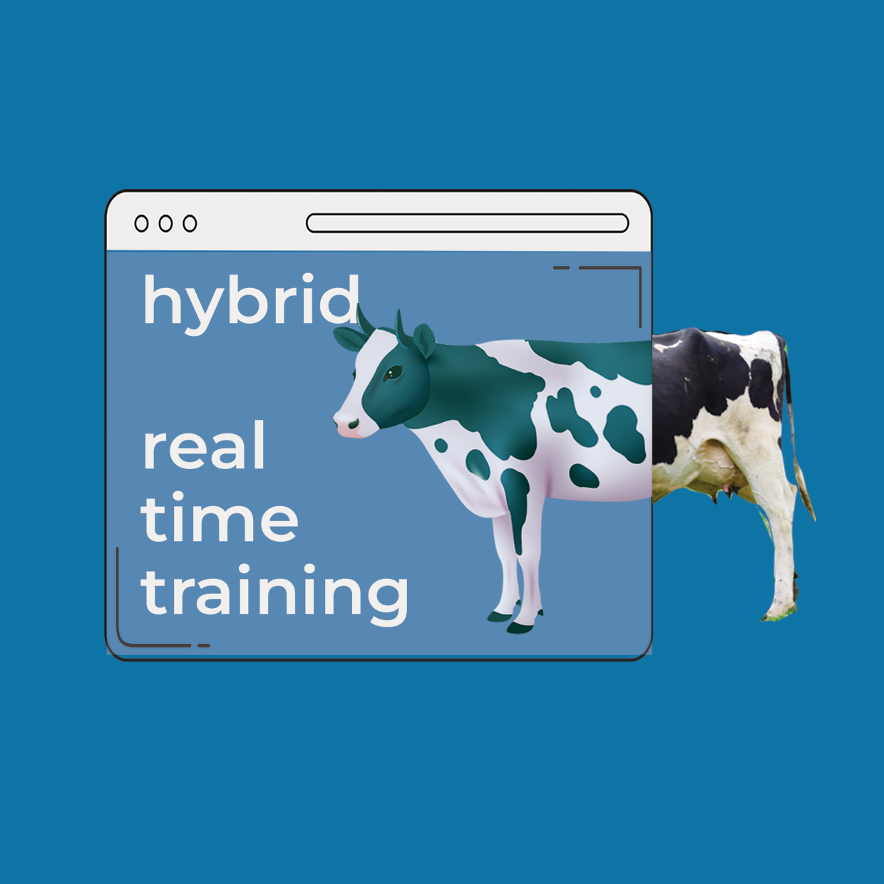 Hybrid Real Time Training