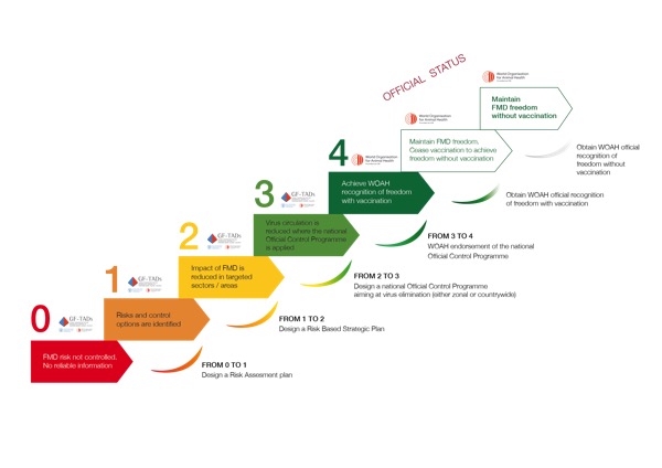 What is the Progressive Control Pathway