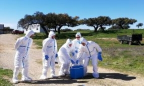 Exercices de simulation pour les urgences liée aux maladies animales