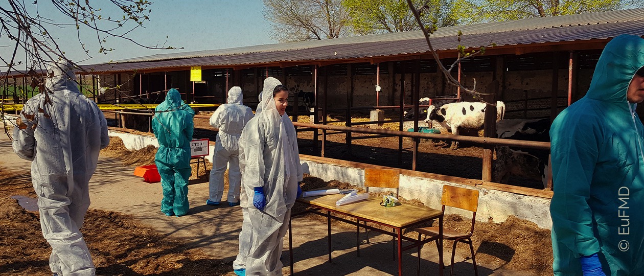 FMD Emergency Preparation Course for the University of Calgary - Sixth Edition