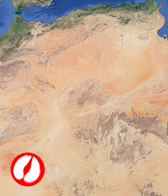 FMD Investigation course for University of Tripoli 2026