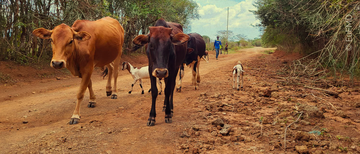 RTT Tanzania March 2026 