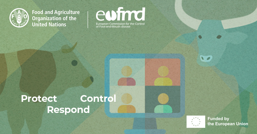 Organizing Simulation Exercises for Animal Disease Emergencies for Member Nations 2026