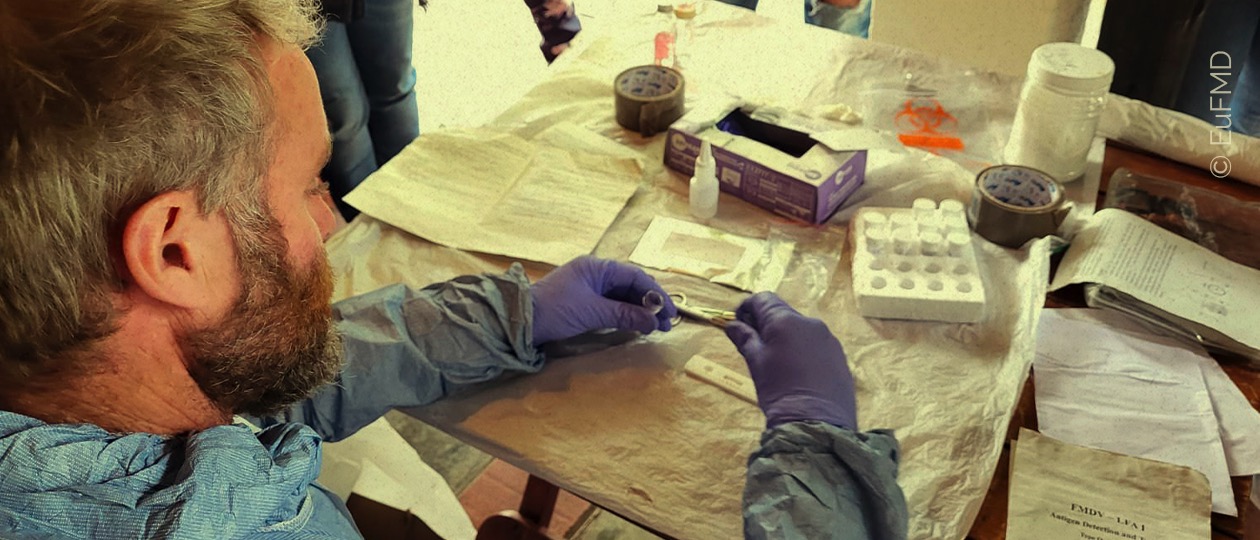 FMD Emergency Preparedness course in Greek